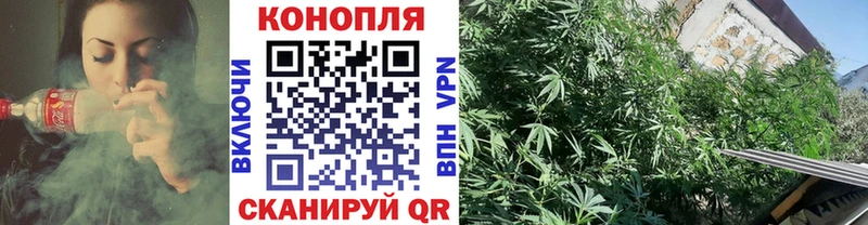 это официальный сайт  Новосокольники  Бошки марихуана ГИДРОПОН 